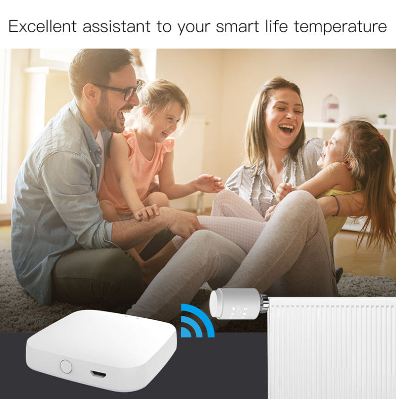 Tuya ZIGBEE Smart Radiator Valve Thermostat | Voice Control