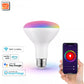 Aubess Tuya WiFi BR30 Smart Bulb 13W | Voice Control
