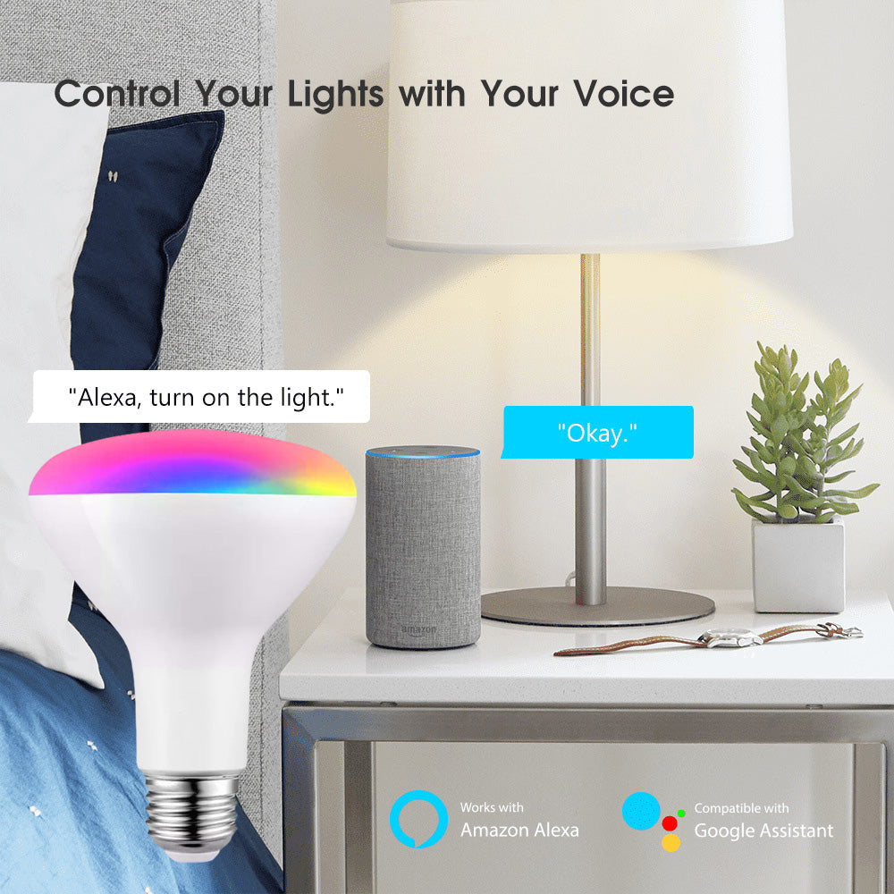 Aubess Tuya WiFi BR30 Smart Bulb 13W | Voice Control